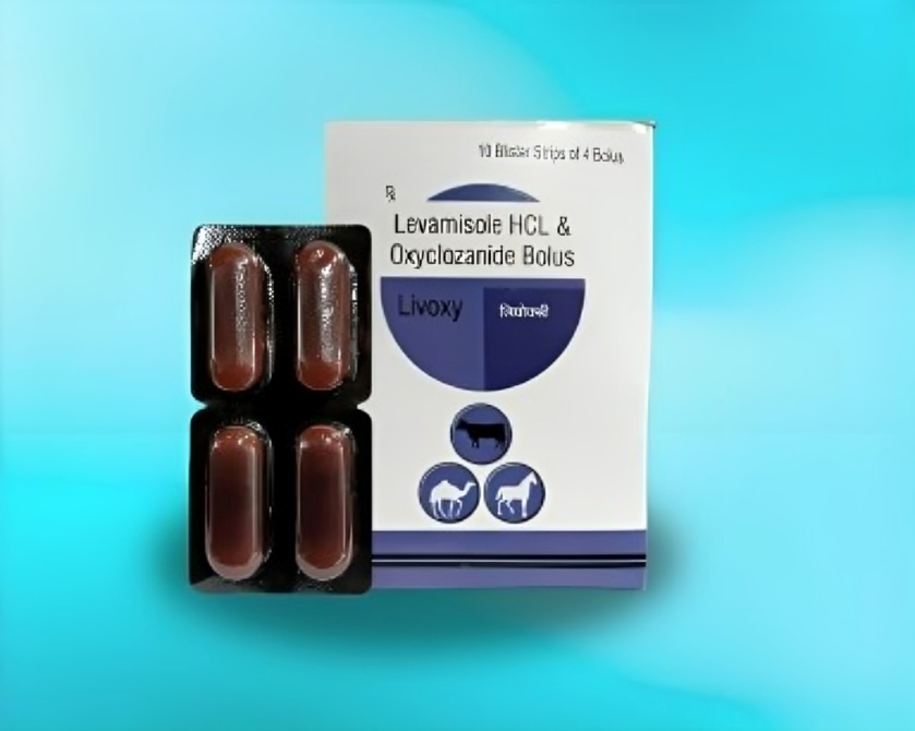 LIVOXY BOLUS 